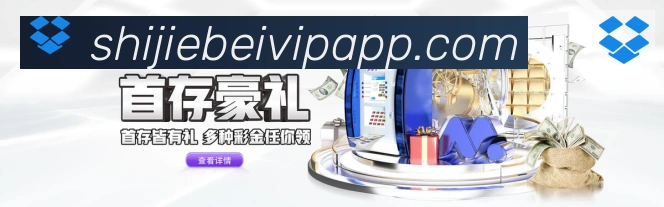 奖项4