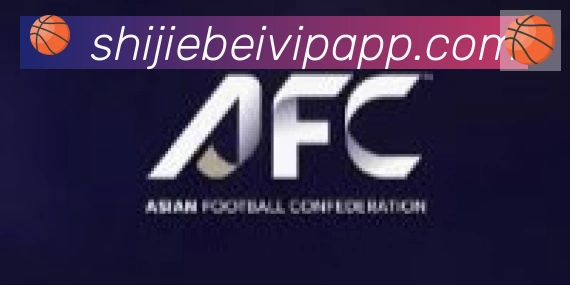 世界杯APP下载合作伙伴